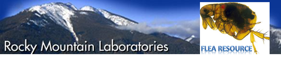Rocky Mountain Laboratories Flea Resource Link